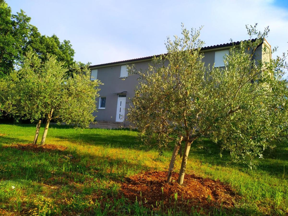 Apartments Valeria Divsici Exterior photo